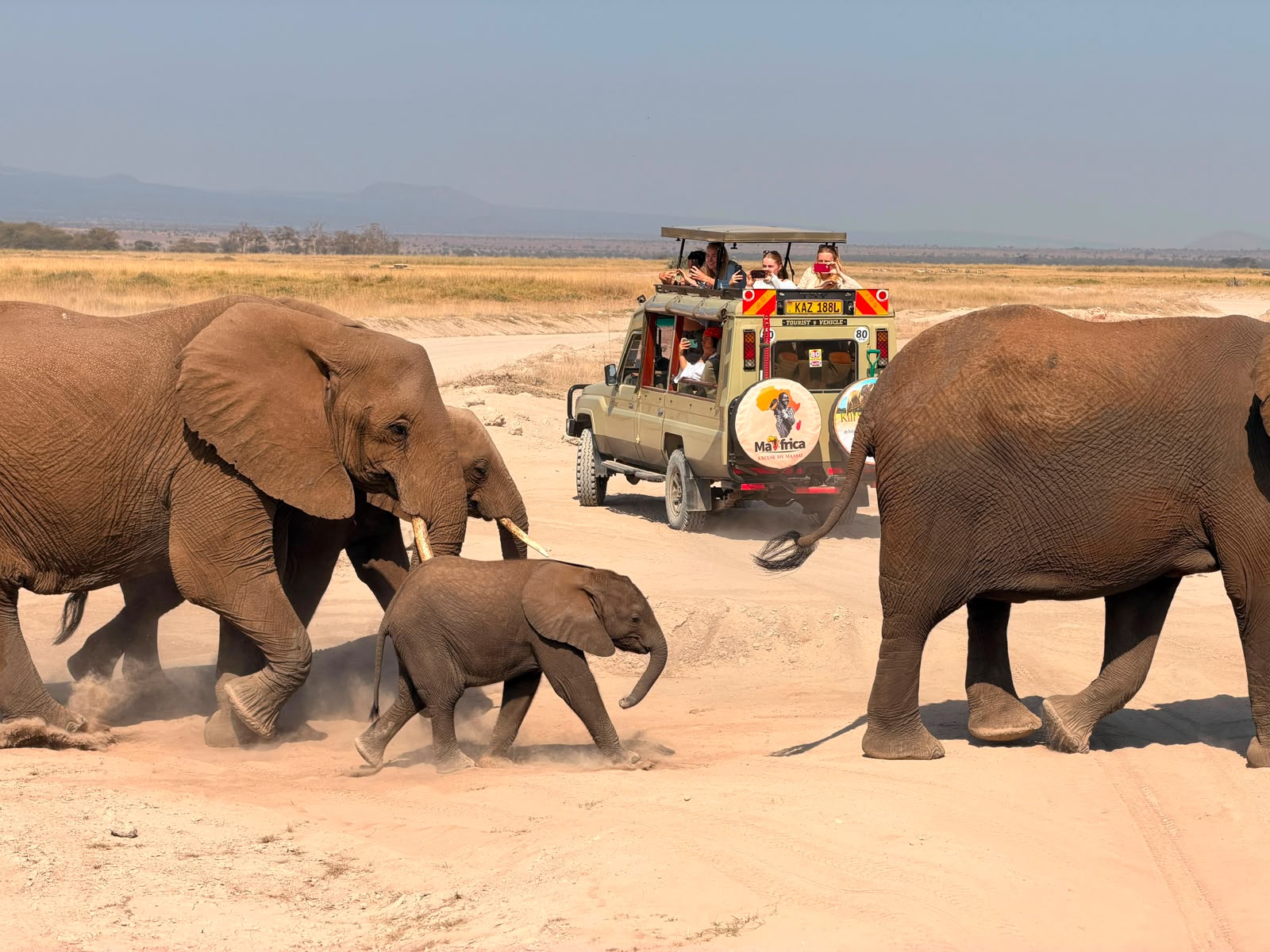 Maa Africa safari cruiser crossing the Amboseli plains at golden hour